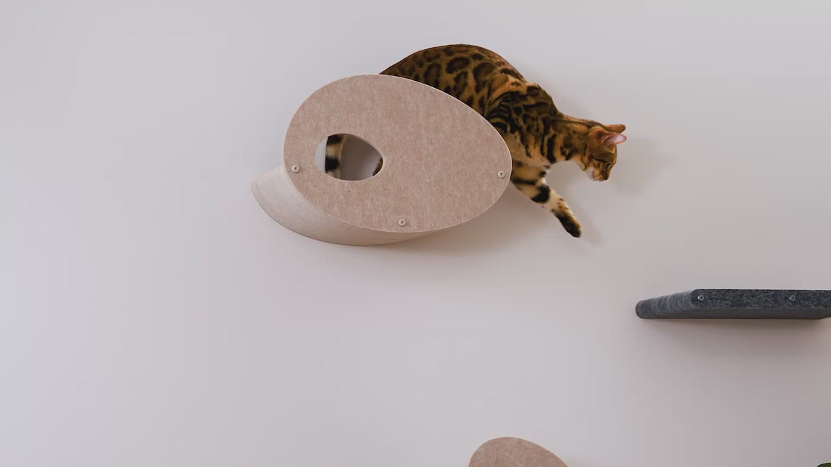 Oatmeal Curved Nest Cat Climber with Facade