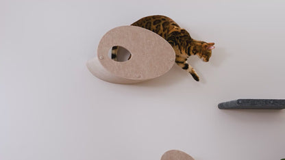 Set of 4 Charcoal Cat Climber Facade Add-Ons